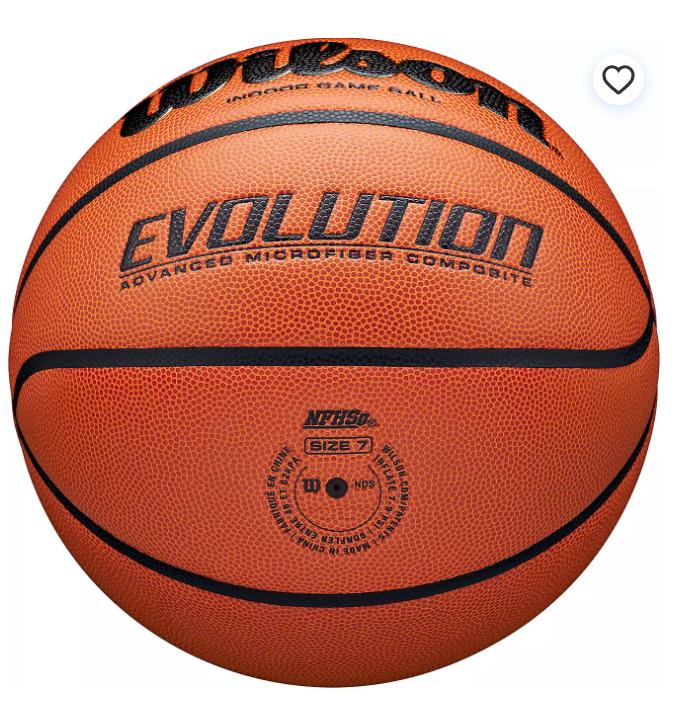 Wilson Evolution Indoor Basketball