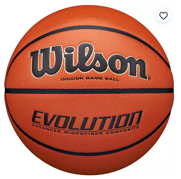 Wilson Evolution Indoor Basketball