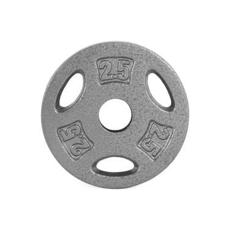 2.5 lb Standard 1-inch Grip Weight Plate