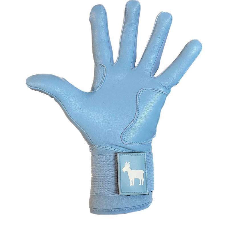 Elite Series Extended Cuff Batting Gloves Baby Blue